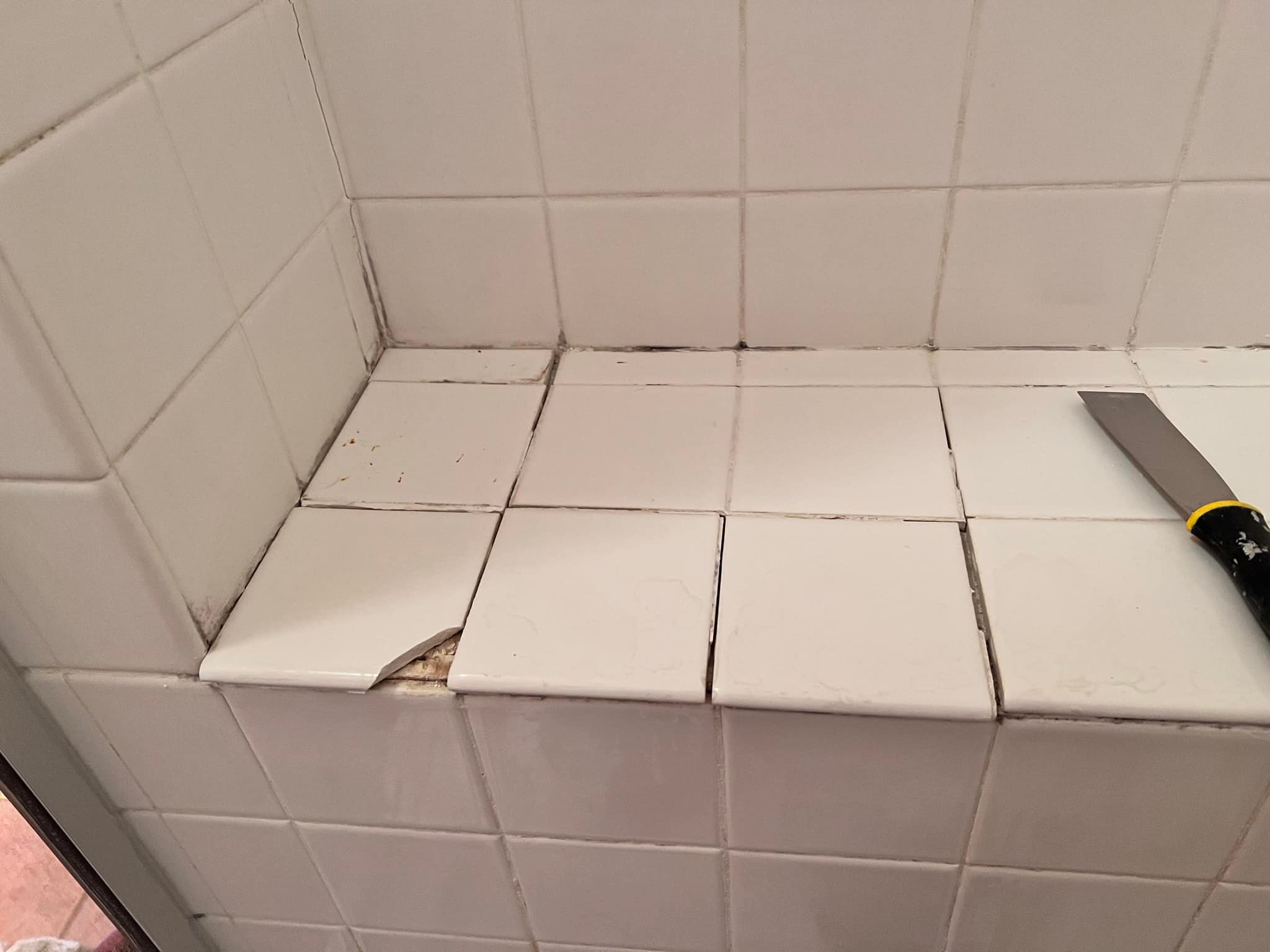 Bathroom tile before the remodel